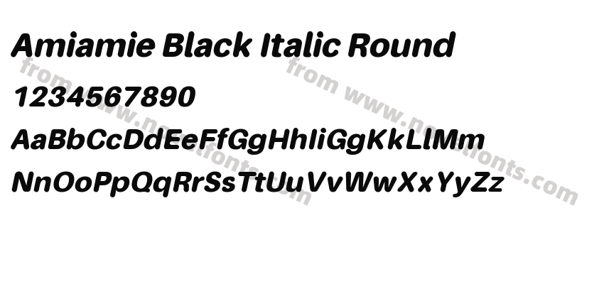 Amiamie Black Italic RoundPreview