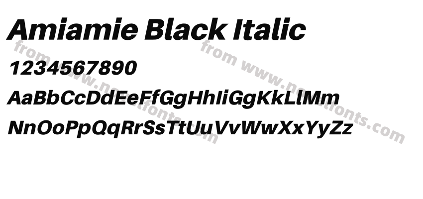 Amiamie Black ItalicPreview