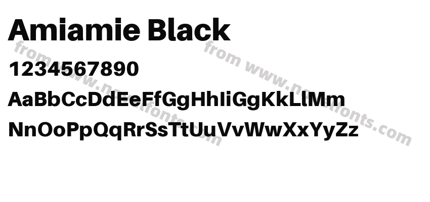 Amiamie BlackPreview