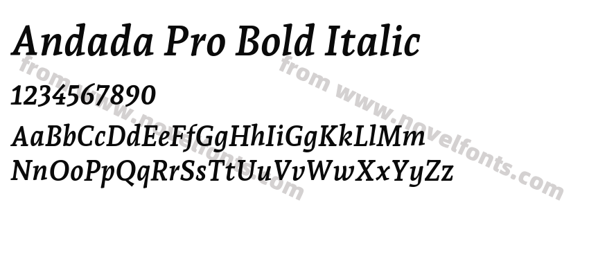 Andada Pro Bold ItalicPreview