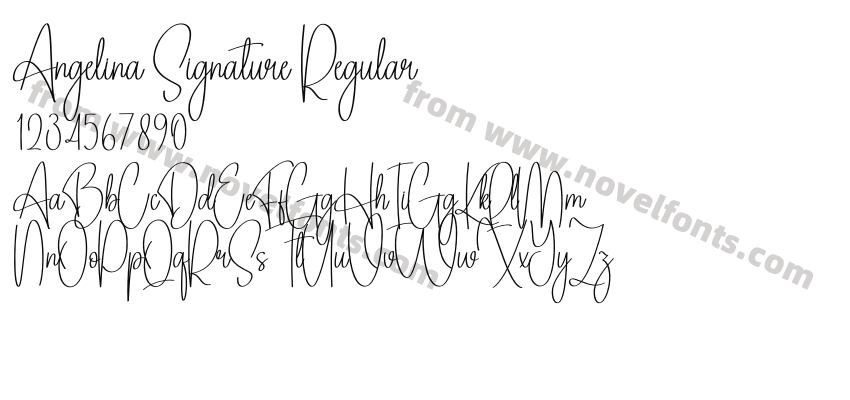 Angelina Signature RegularPreview