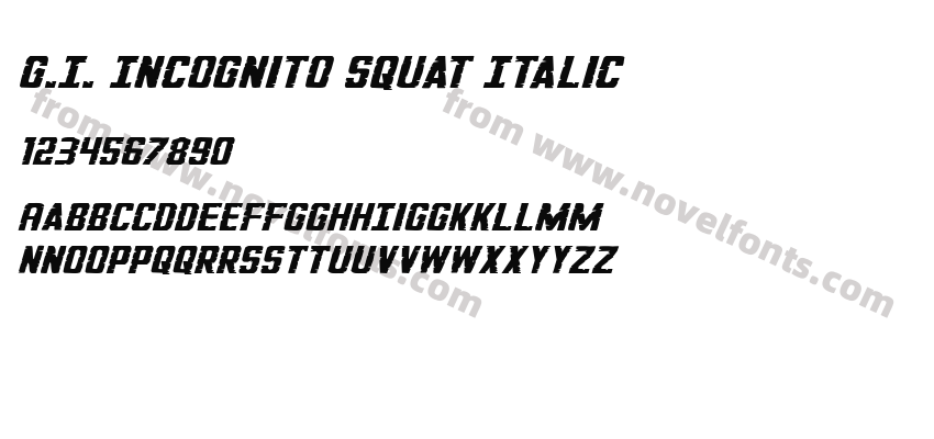 G.I. Incognito Squat ItalicPreview