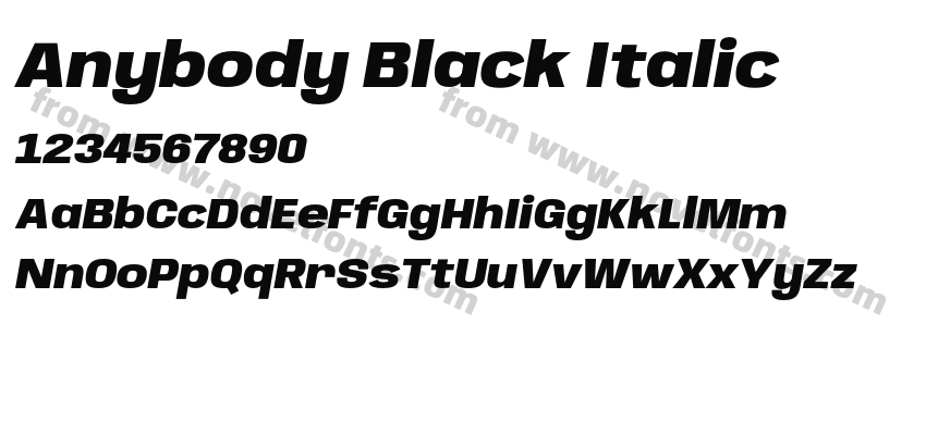 Anybody Black ItalicPreview