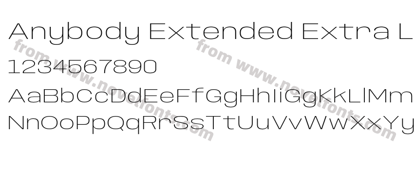 Anybody Extended Extra LightPreview