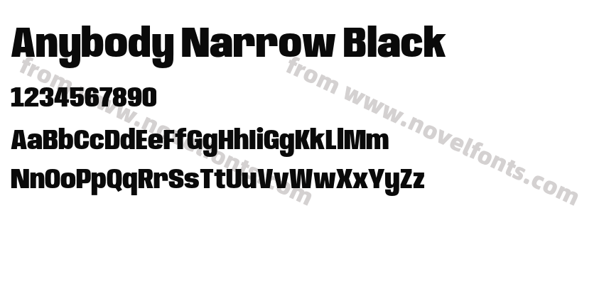 Anybody Narrow BlackPreview