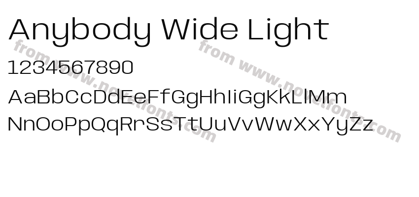 Anybody Wide LightPreview