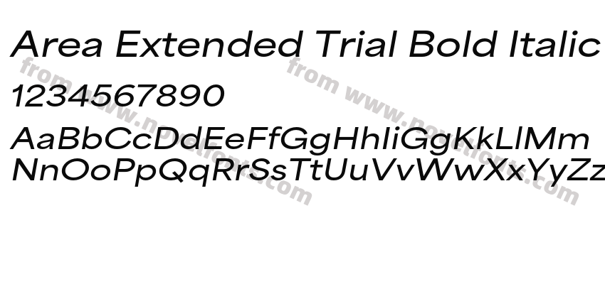 Area Extended Trial Bold ItalicPreview