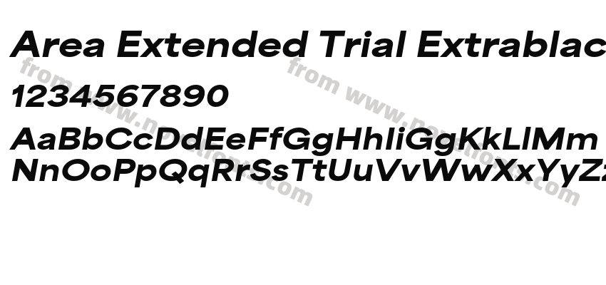 Area Extended Trial Extrablack ItalicPreview