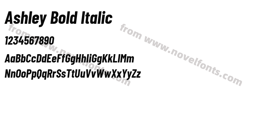 Ashley Bold ItalicPreview