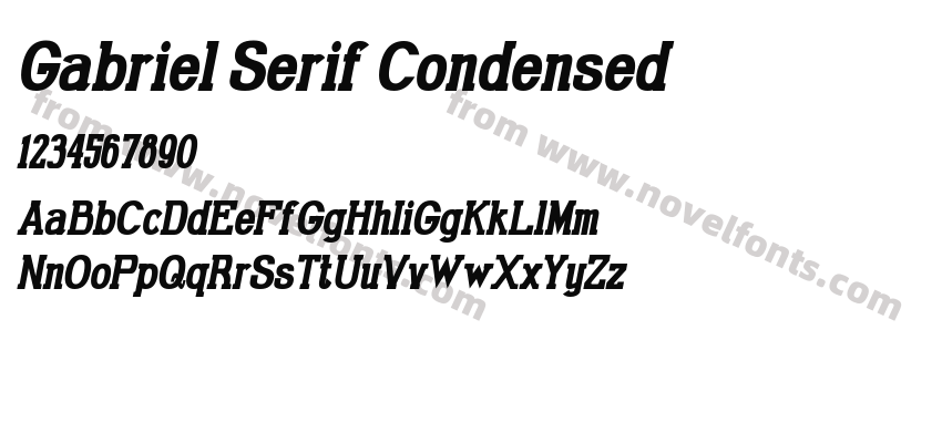 Gabriel Serif Condensed Bold ItalicPreview