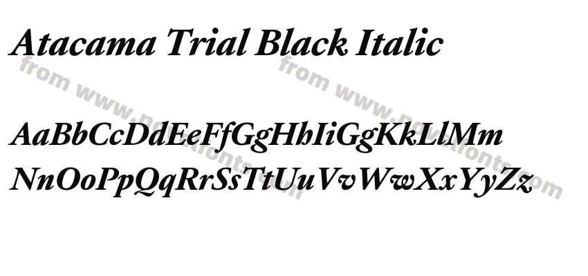 Atacama Trial Black ItalicPreview