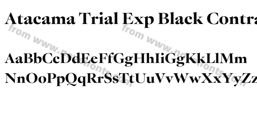 Atacama Trial Exp Black ContrastPreview