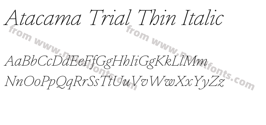 Atacama Trial Thin ItalicPreview