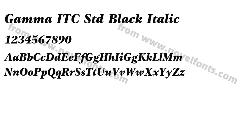 Gamma ITC Std Black ItalicPreview