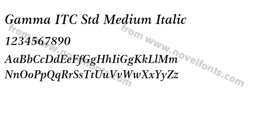 Gamma ITC Std Medium ItalicPreview