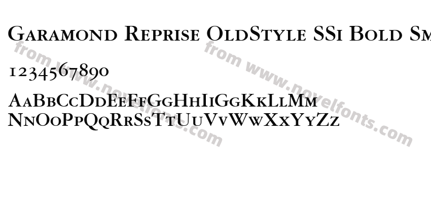 Garamond Reprise OldStyle SSi Bold Small CapsPreview