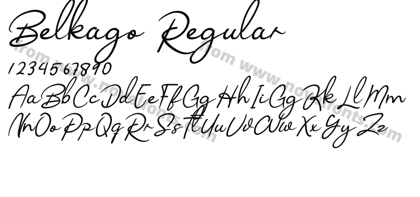 Belkago RegularPreview