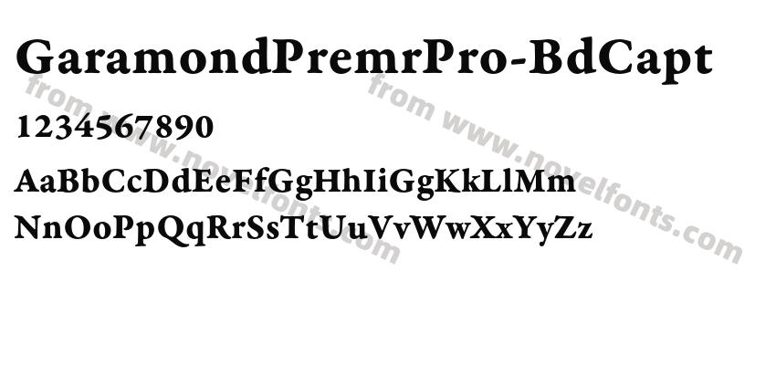 GaramondPremrPro-BdCaptPreview