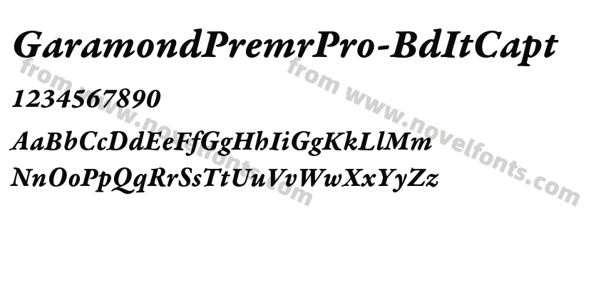 GaramondPremrPro-BdItCaptPreview