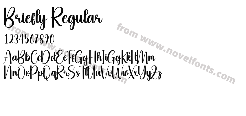 Briefly RegularPreview