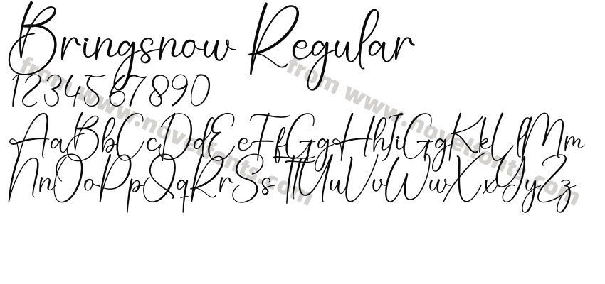 Bringsnow RegularPreview