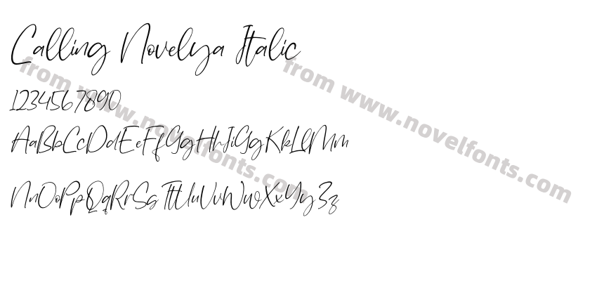 Calling Novelya ItalicPreview
