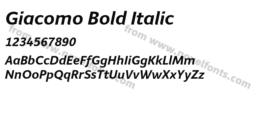 Giacomo Bold ItalicPreview