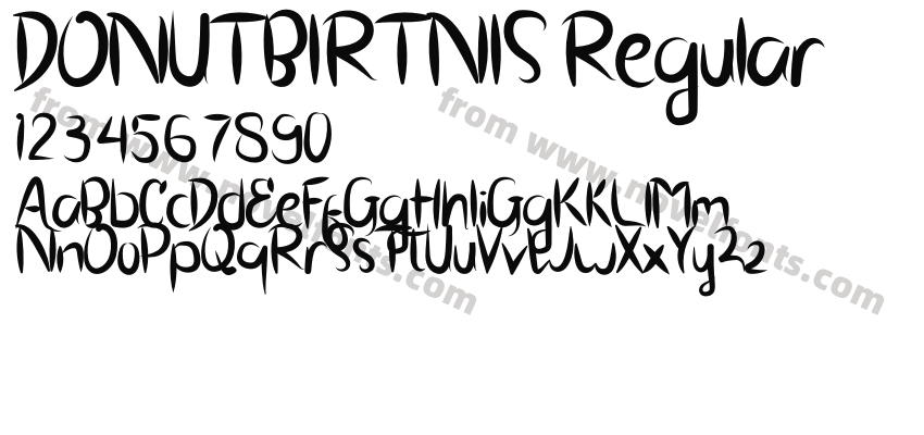 DONUTBIRTNIS RegularPreview