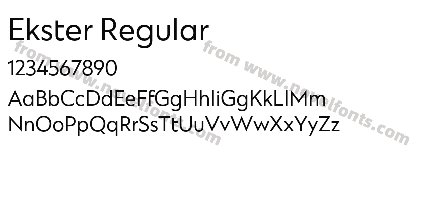 Ekster RegularPreview