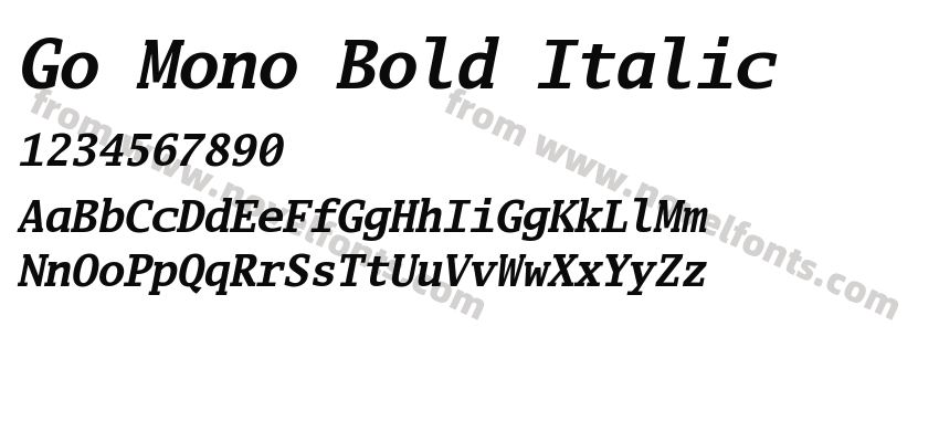 Go Mono Bold ItalicPreview