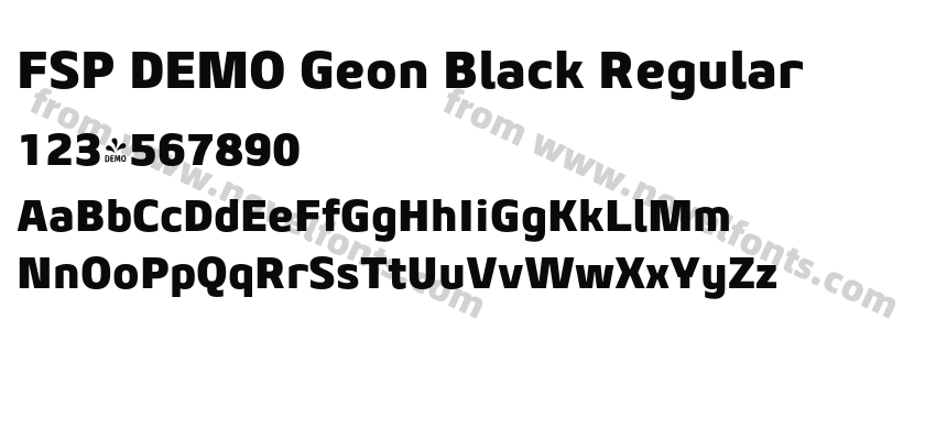 FSP DEMO Geon Black RegularPreview