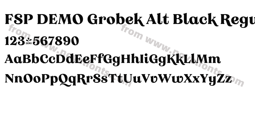 FSP DEMO Grobek Alt Black RegularPreview