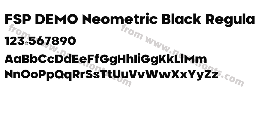 FSP DEMO Neometric Black RegularPreview