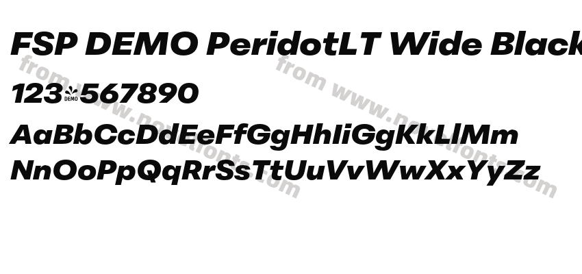 FSP DEMO PeridotLT Wide Black ItalicPreview