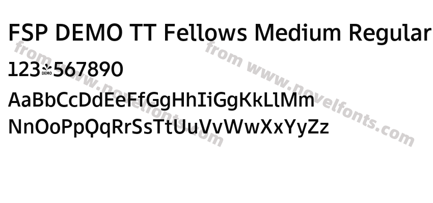 FSP DEMO TT Fellows Medium RegularPreview