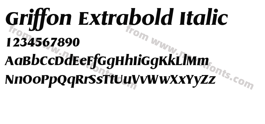 Griffon Extrabold ItalicPreview