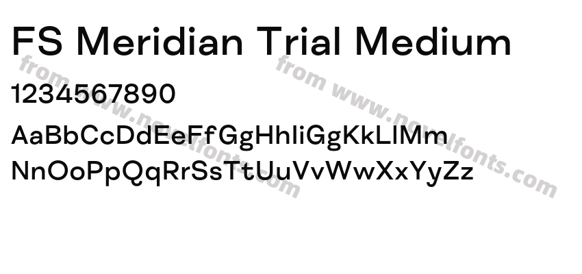 FS Meridian Trial MediumPreview