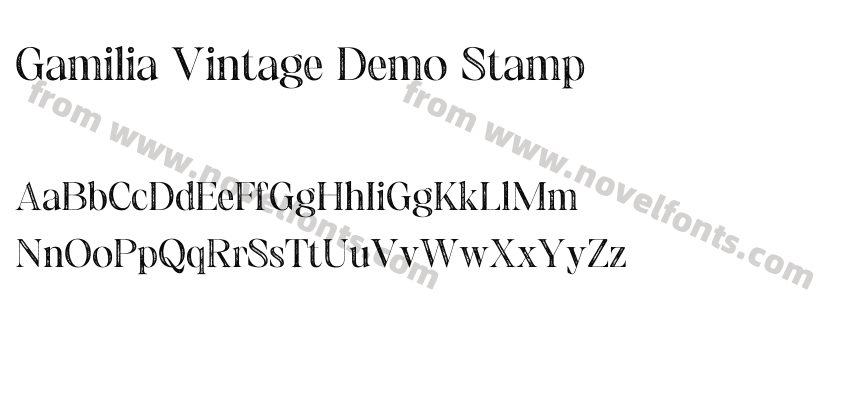 Gamilia Vintage Demo StampPreview