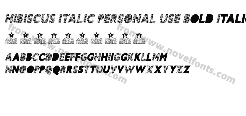 HIBISCUS ITALIC PERSONAL USE Bold ItalicPreview