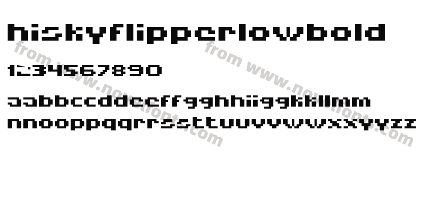 HISKYFLIPPERLOWBOLDPreview