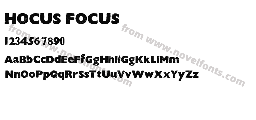 HOCUS FOCUSPreview