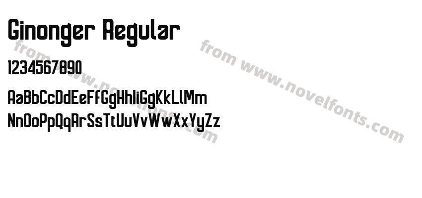 Ginonger RegularPreview