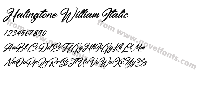 Halingtone William ItalicPreview