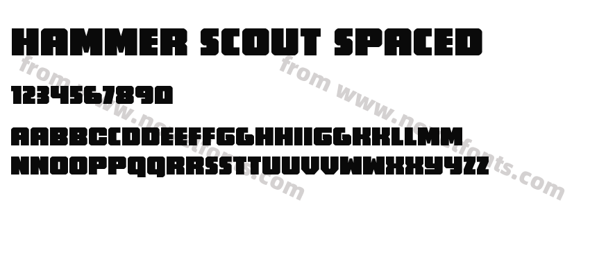 Hammer Scout SpacedPreview