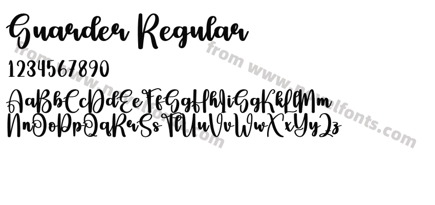 Guarder RegularPreview