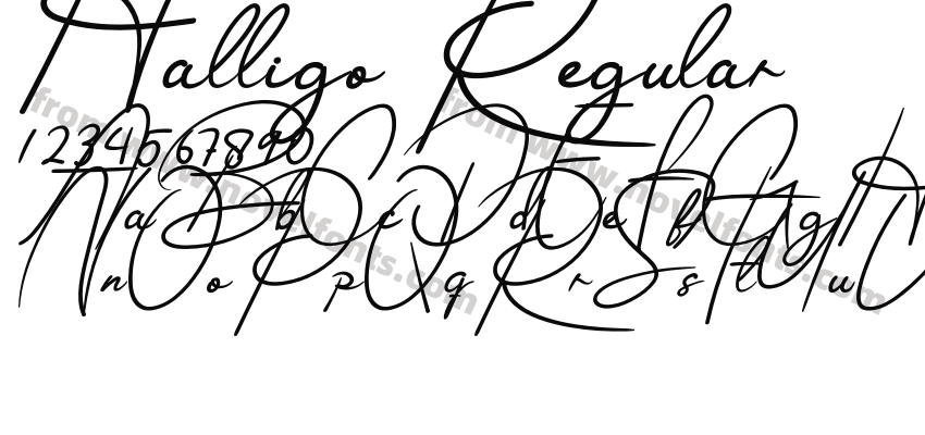 Halligo RegularPreview