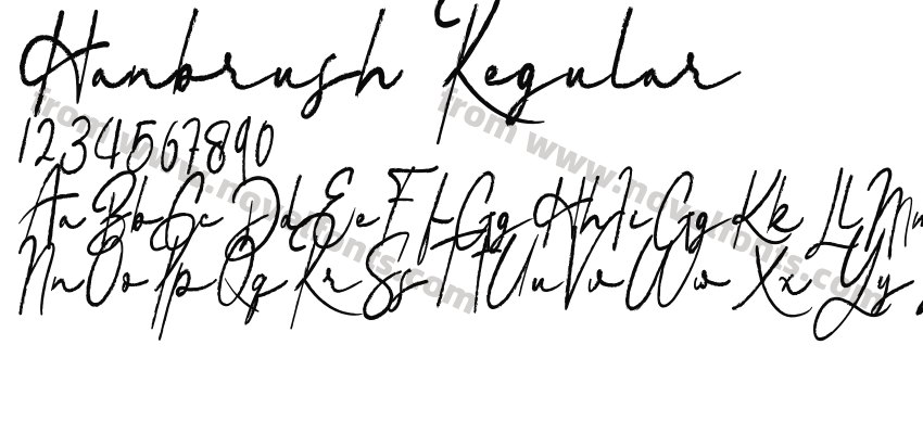 Hanbrush RegularPreview