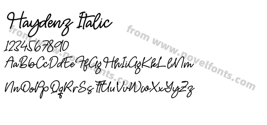 Haydenz ItalicPreview