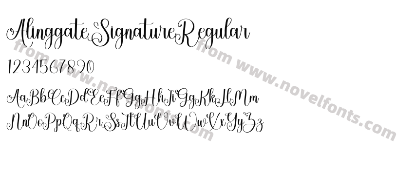 AlinggateSignatureRegularPreview