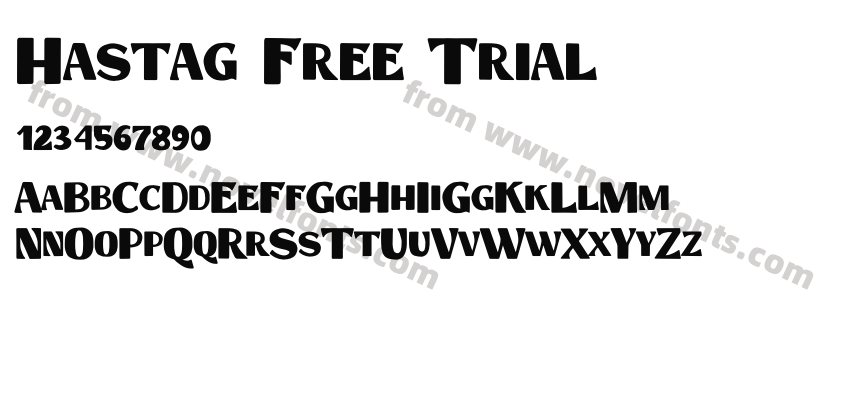 Hastag Free TrialPreview